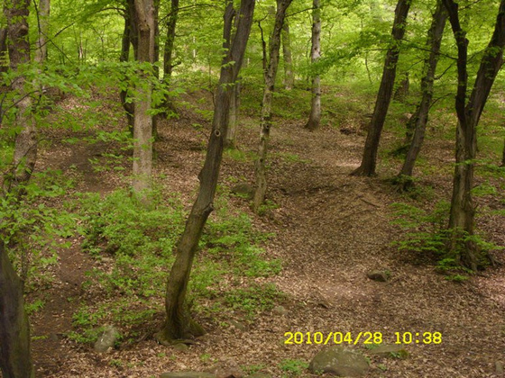 7805917_7b9448d76d1ac40f03a2d4057f28d8cd_m.jpg