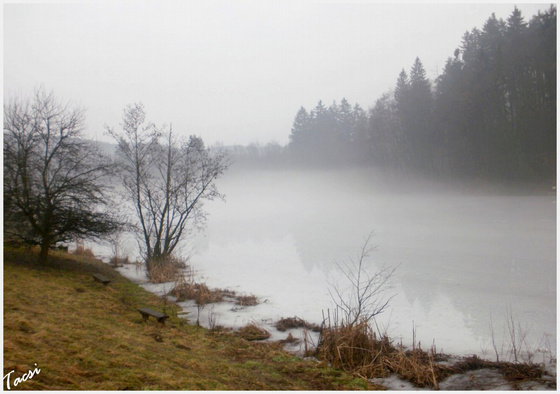tacsifoto: Köd és tükröződés a jégen