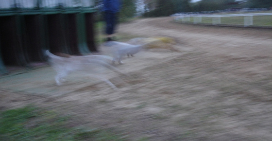 10409259_c3867fa439de674659e86770a3dcd9b4_m.jpg