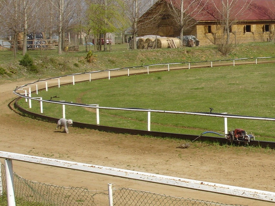 11285731_fcbe0c87b7b0807a1df5ee1a898c43c4_m.jpg