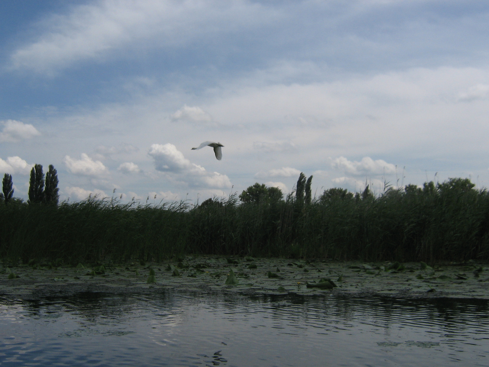 Ferenc csatorna 2009.07.11. 032