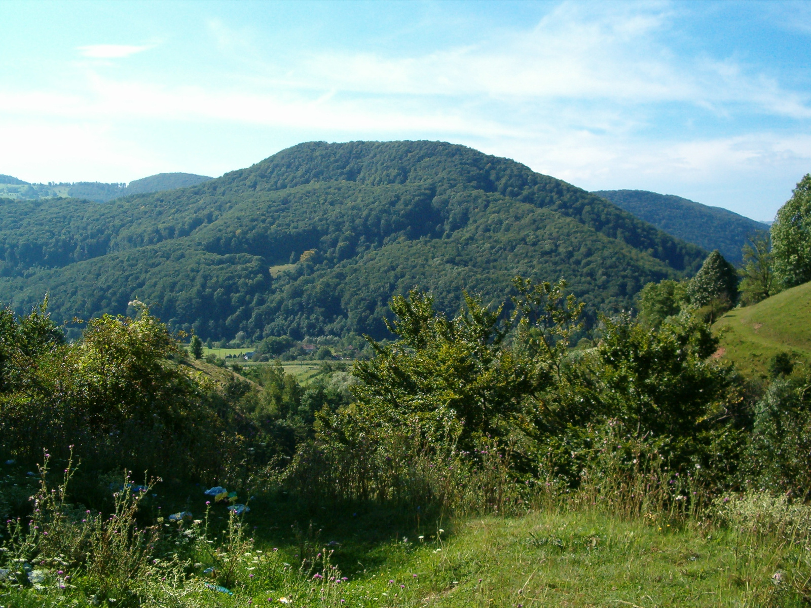 Keleti-Kárpátok