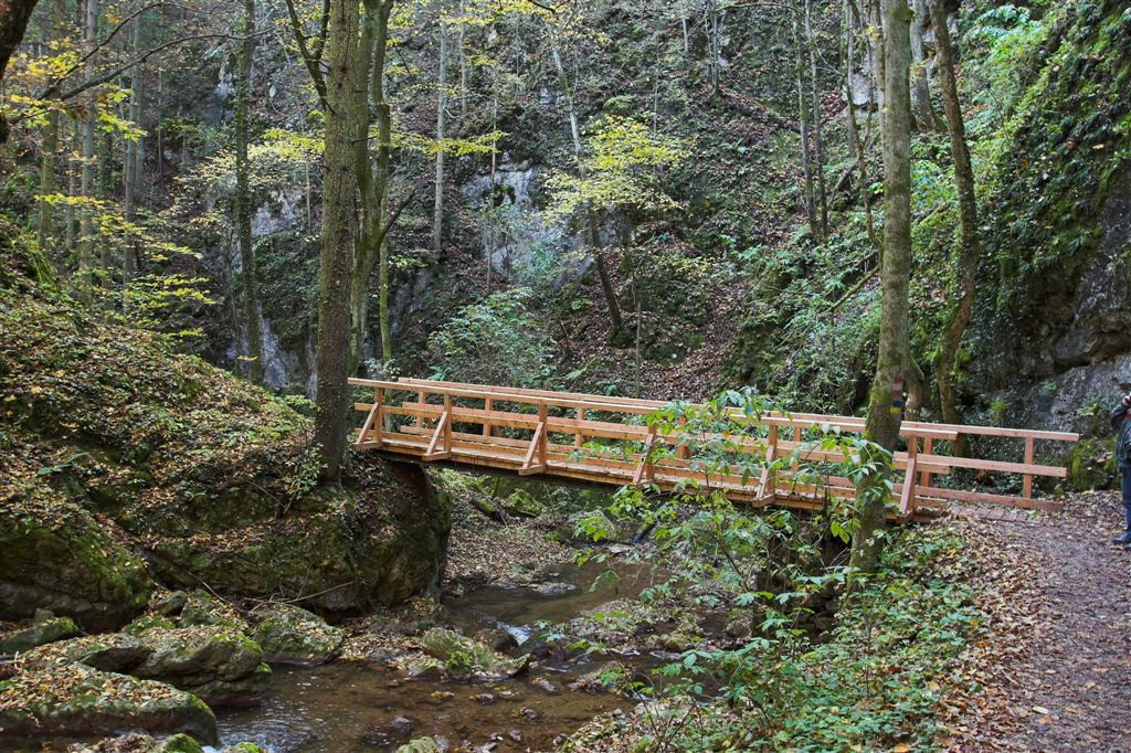 jOHANNESBACHKLAMM (13)