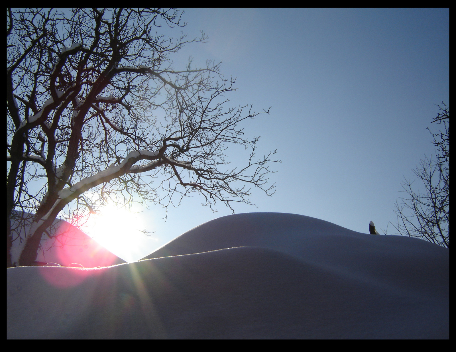 2010 Február