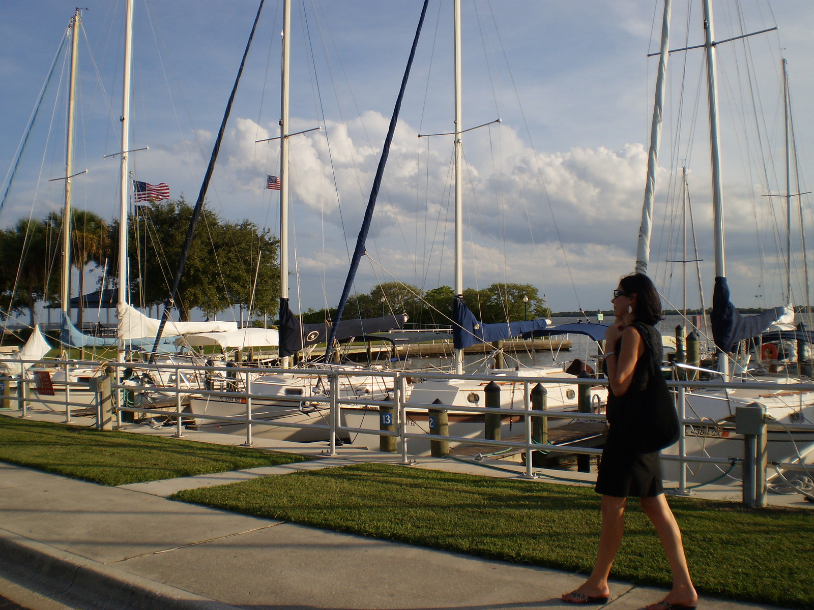 Safety Harbor