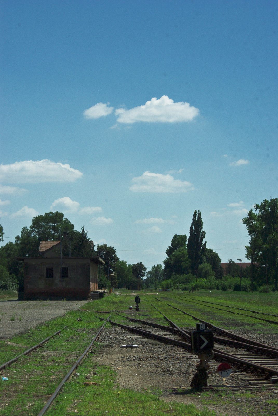 csongrád2010-9482