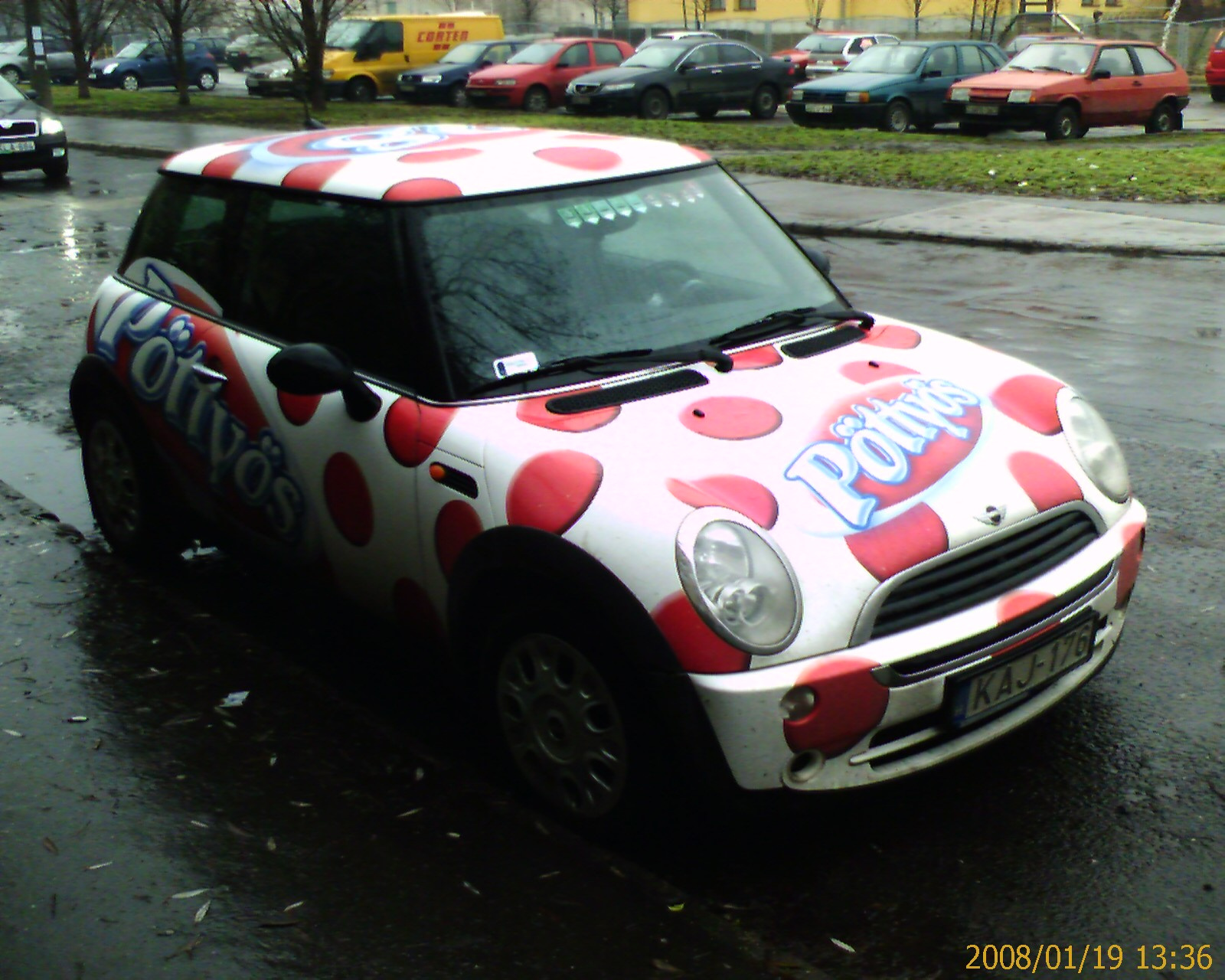 Mini (Pöttyös)  IMAGE 00043