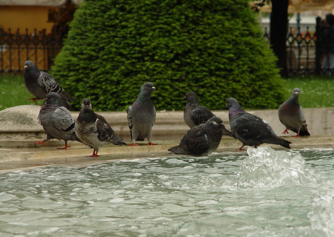 Vigadó tér