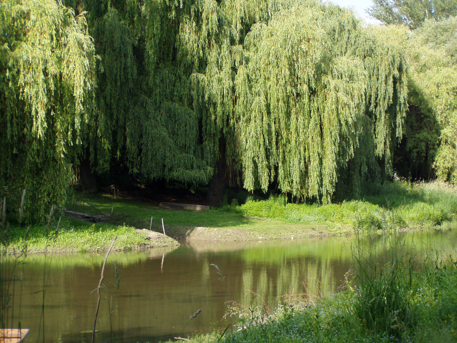 2011.06.06. Szúnyog-sziget