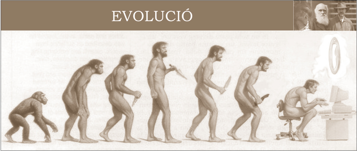 Evolúció