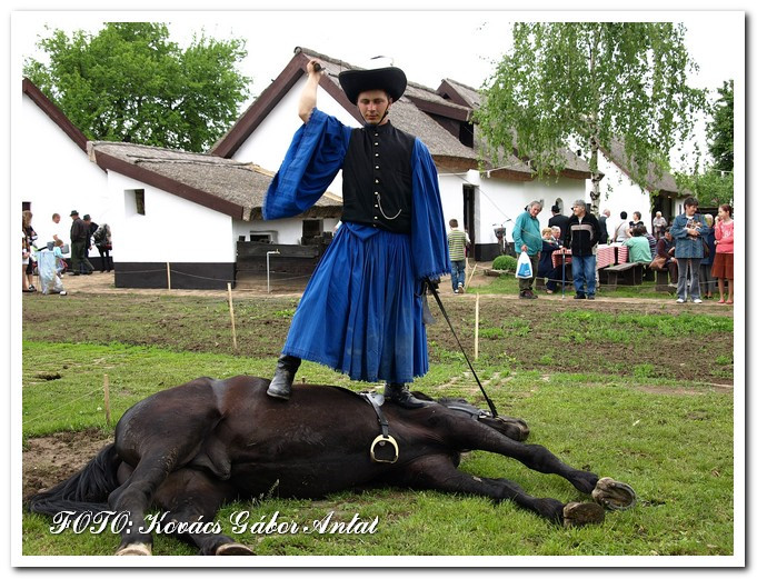 Hagyományőrző nap