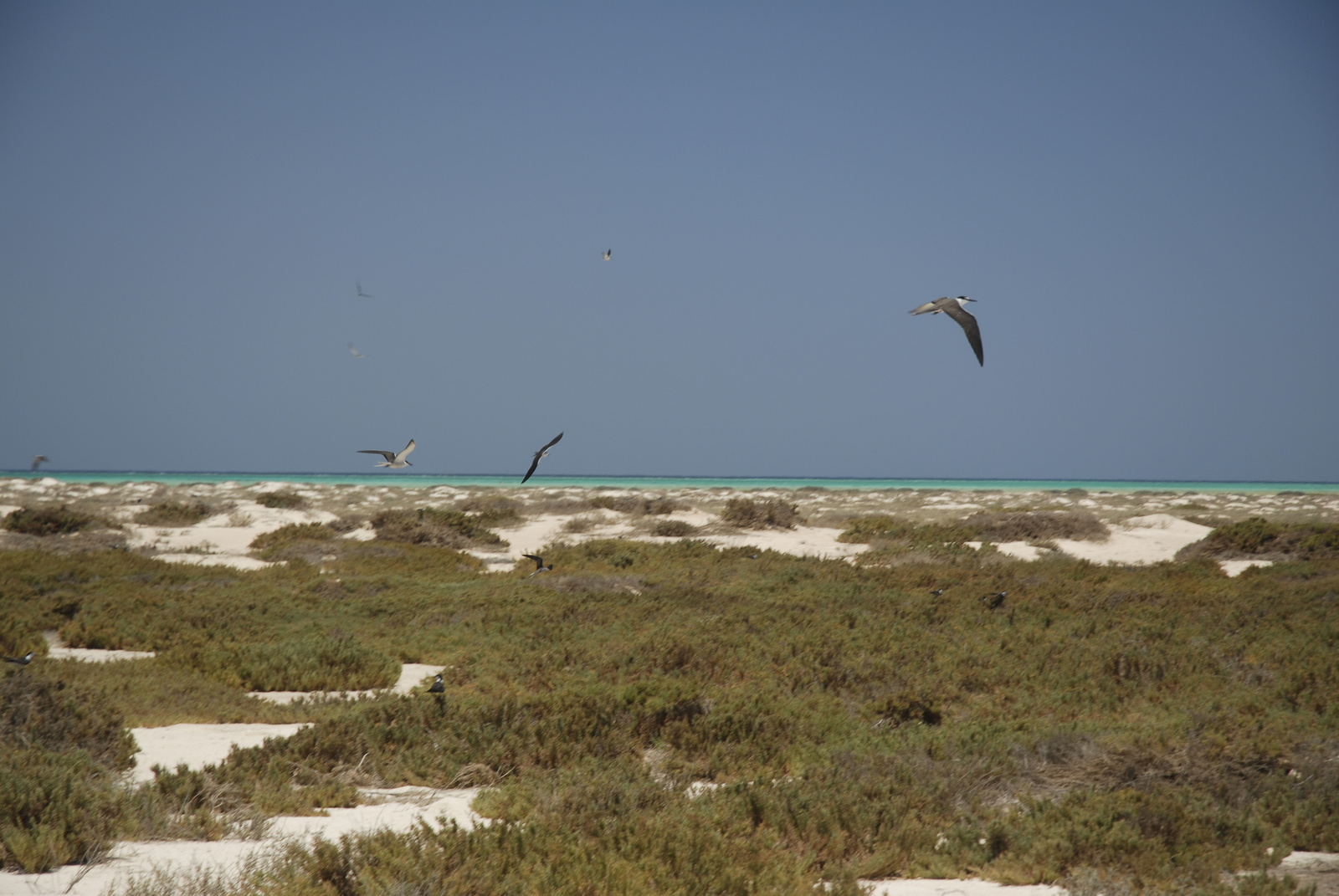 Marsa Alam (146)