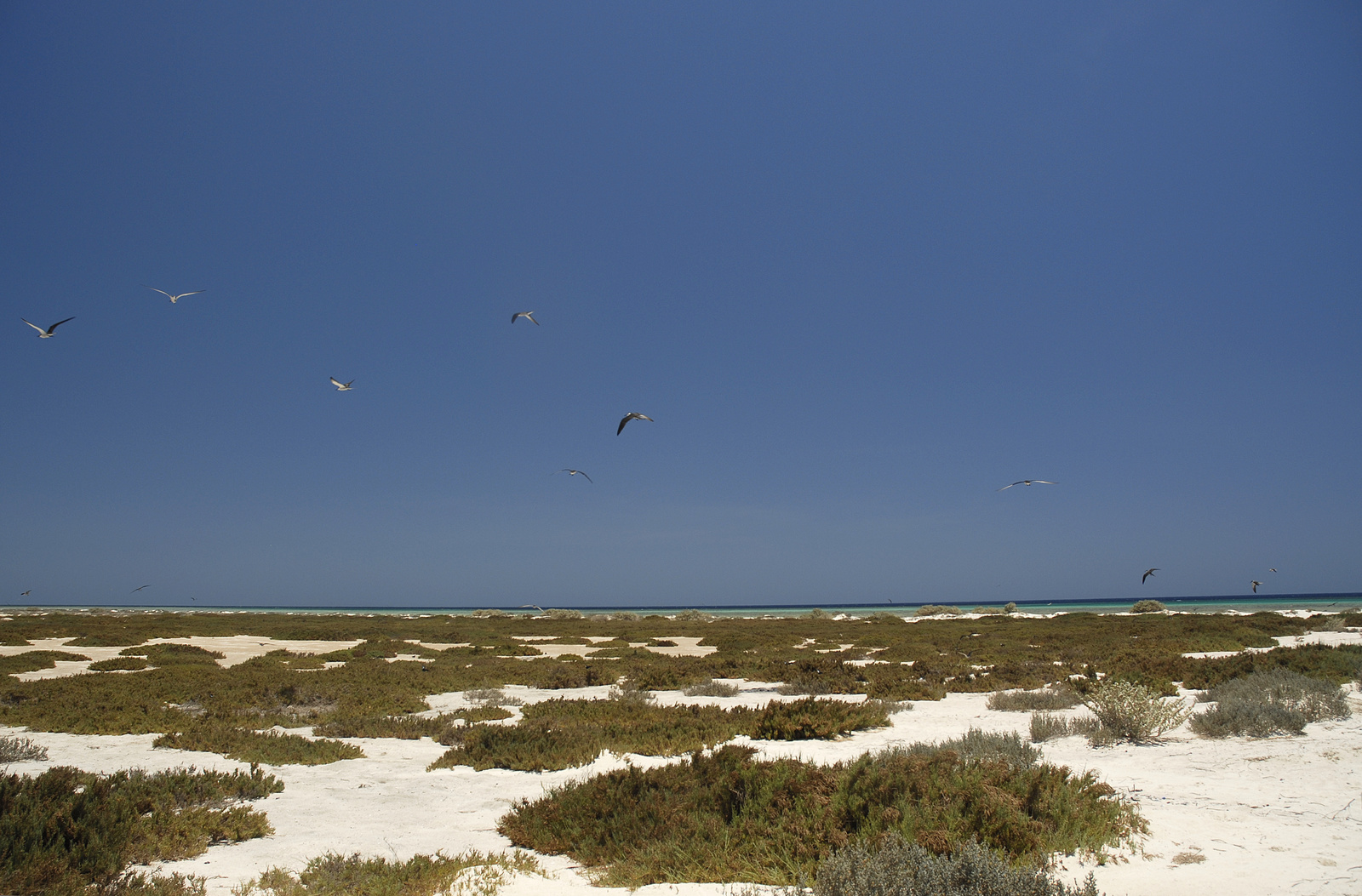 Marsa Alam (154)