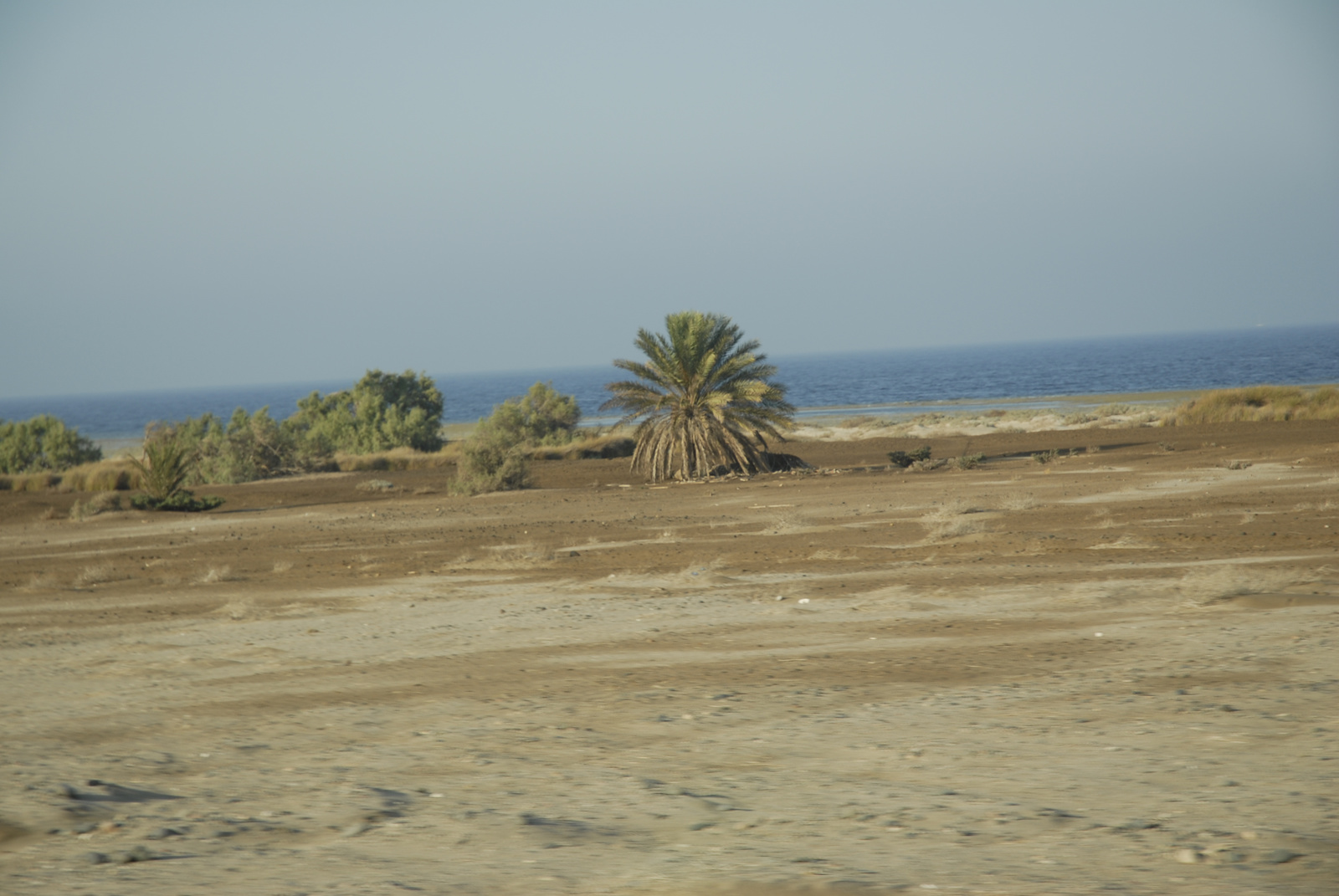 Marsa Alam (240)