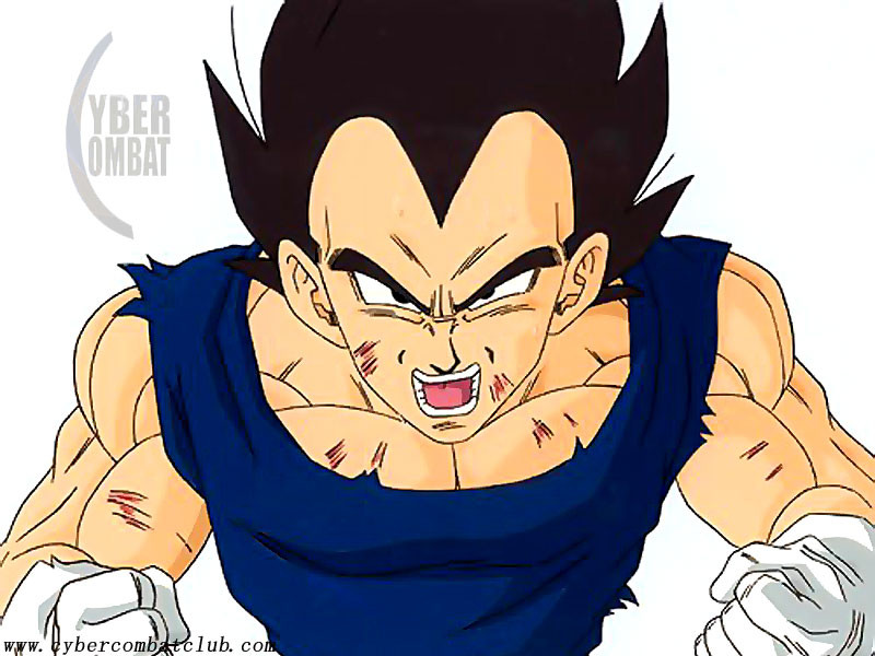 a-dragon-ball-z-anime-wallpaper-800x600