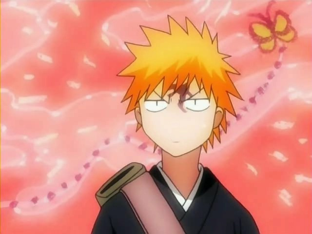 bleach ichigo0304