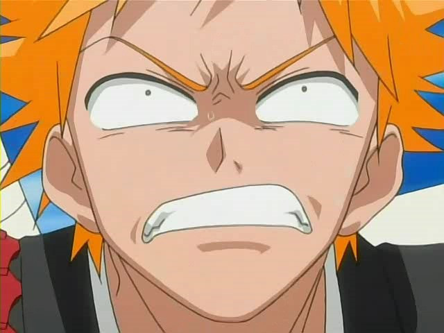 bleach ichigo0748