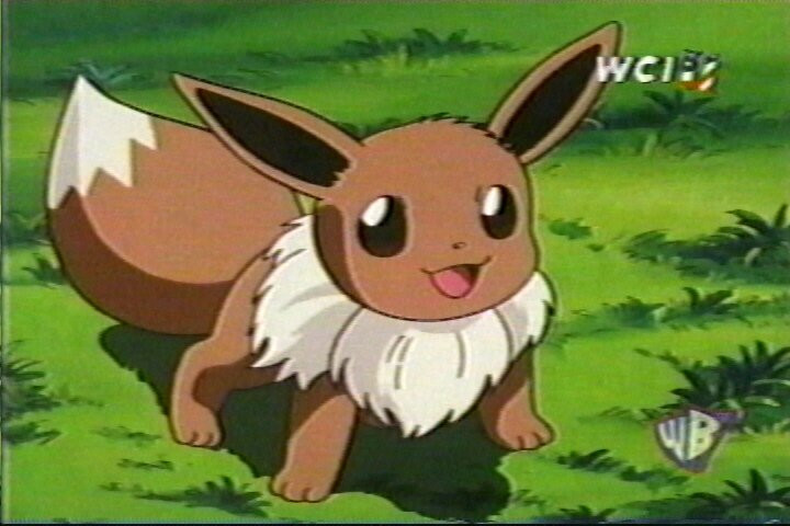 eevee01