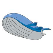 Wailord170