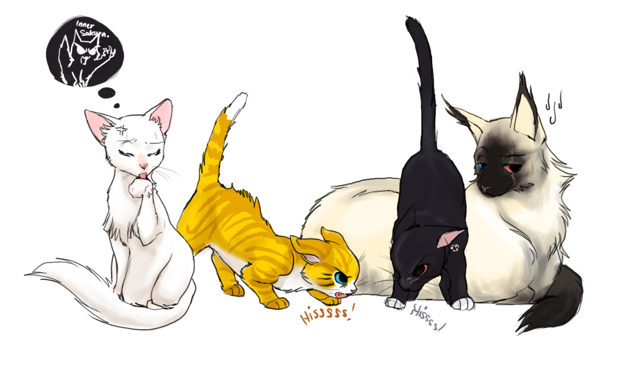 Naruto Team 7 kitties by kiwifluff