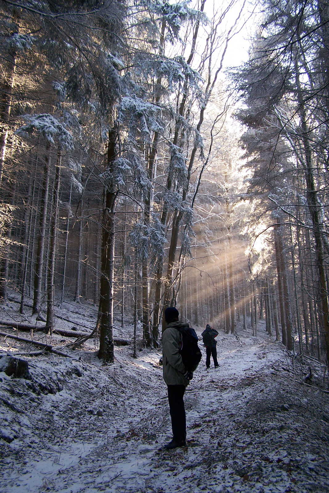 Bükk Barátság-kert 07.02.02 130