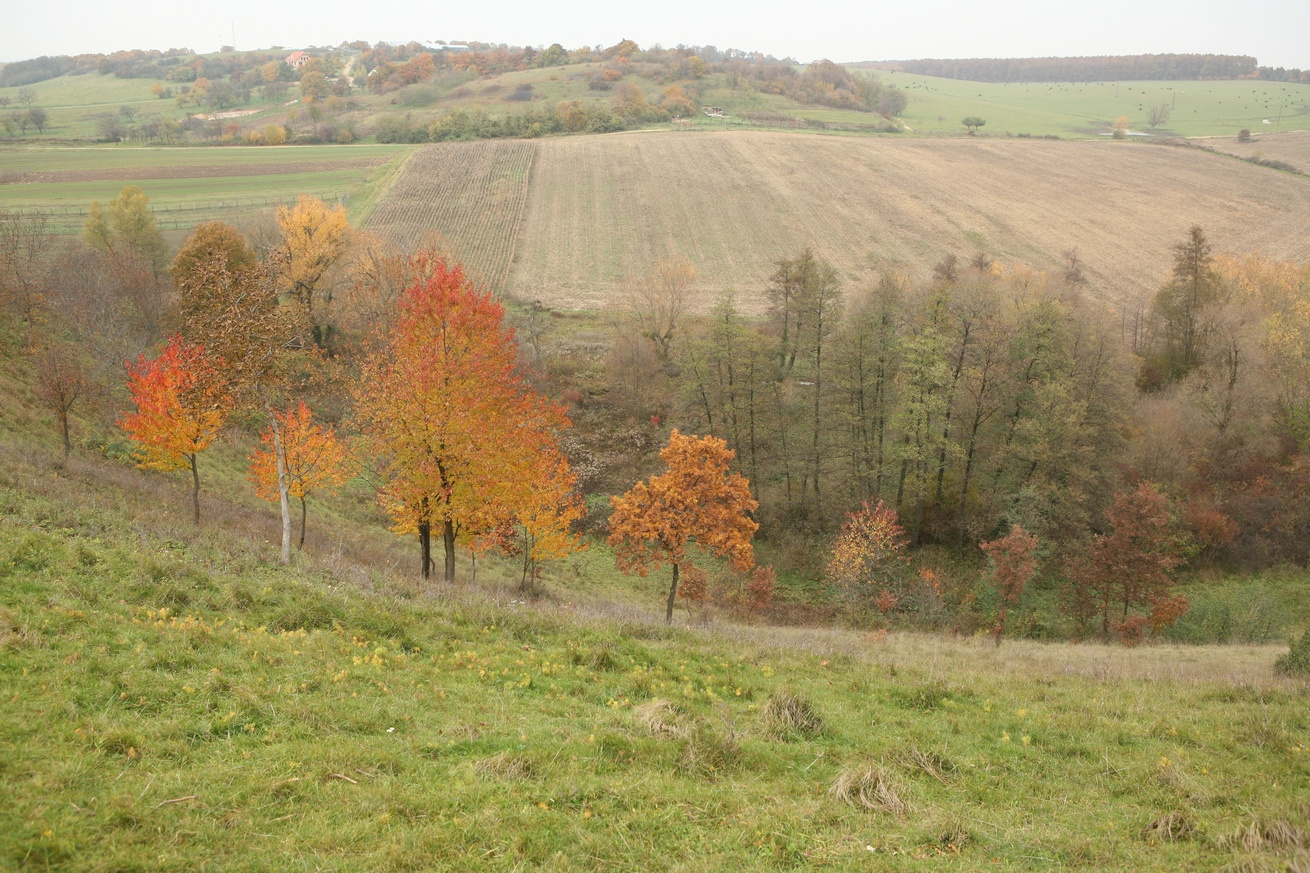 Ganna2007ősz3