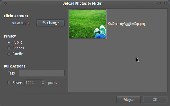 Upload Photos to Flickr 012.png