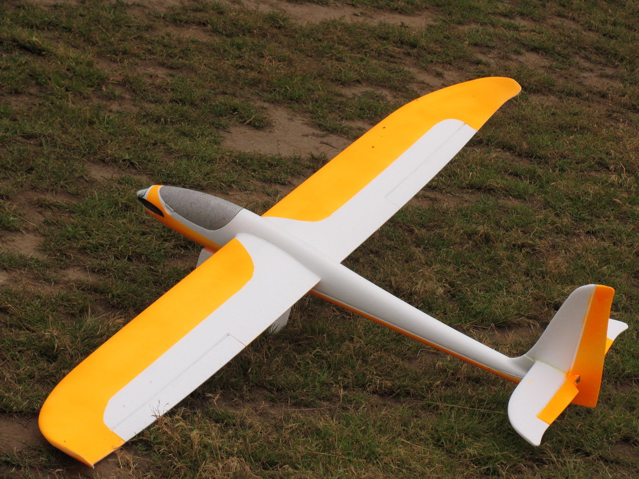 EasyGlider 6