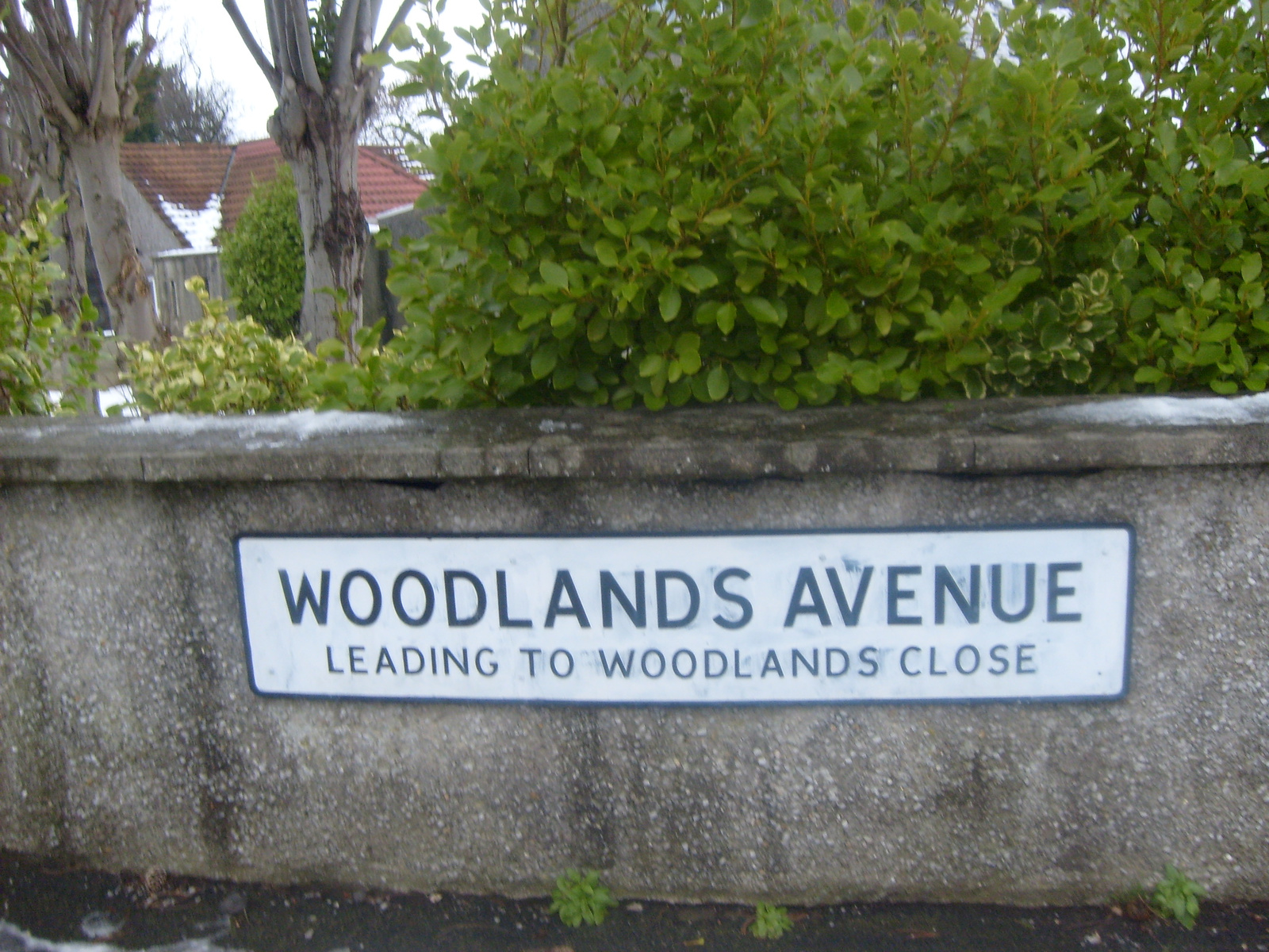 IM Woodland ave