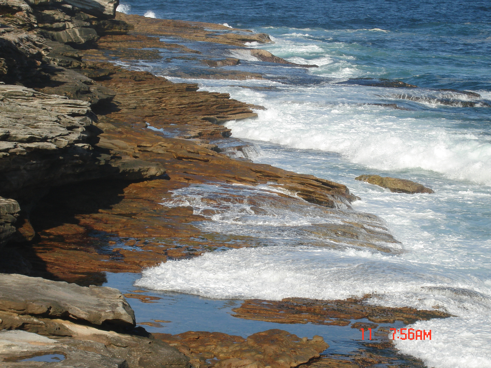 Tamarama