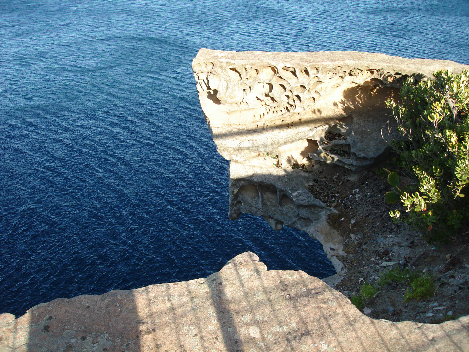 Watsons Bay:) Szikla:)