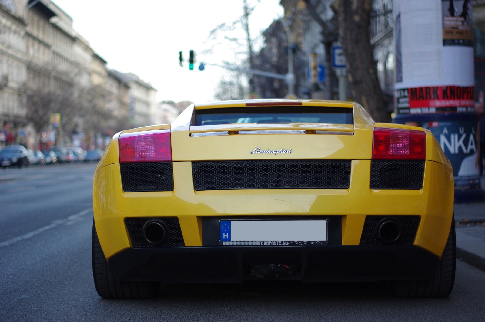 Lamborghini Gallardo (9)