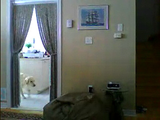 Video call snapshot 8.png