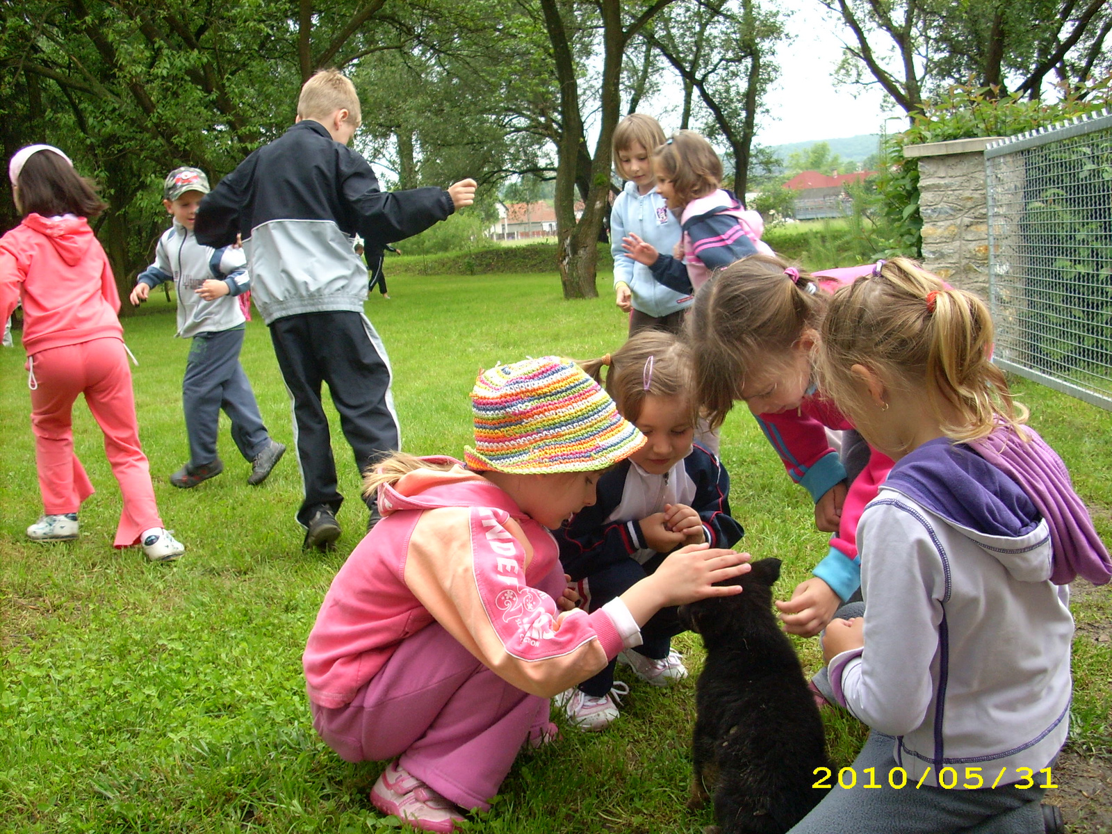 2010 Kelecsény 008