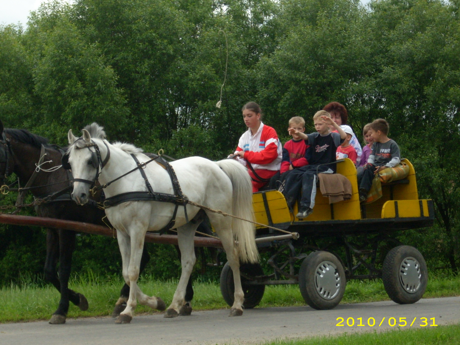 2010 Kelecsény 143