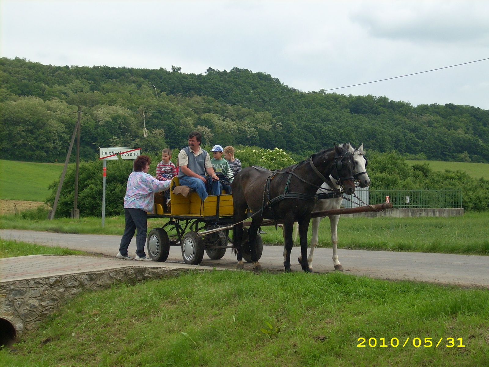 2010 Kelecsény 146