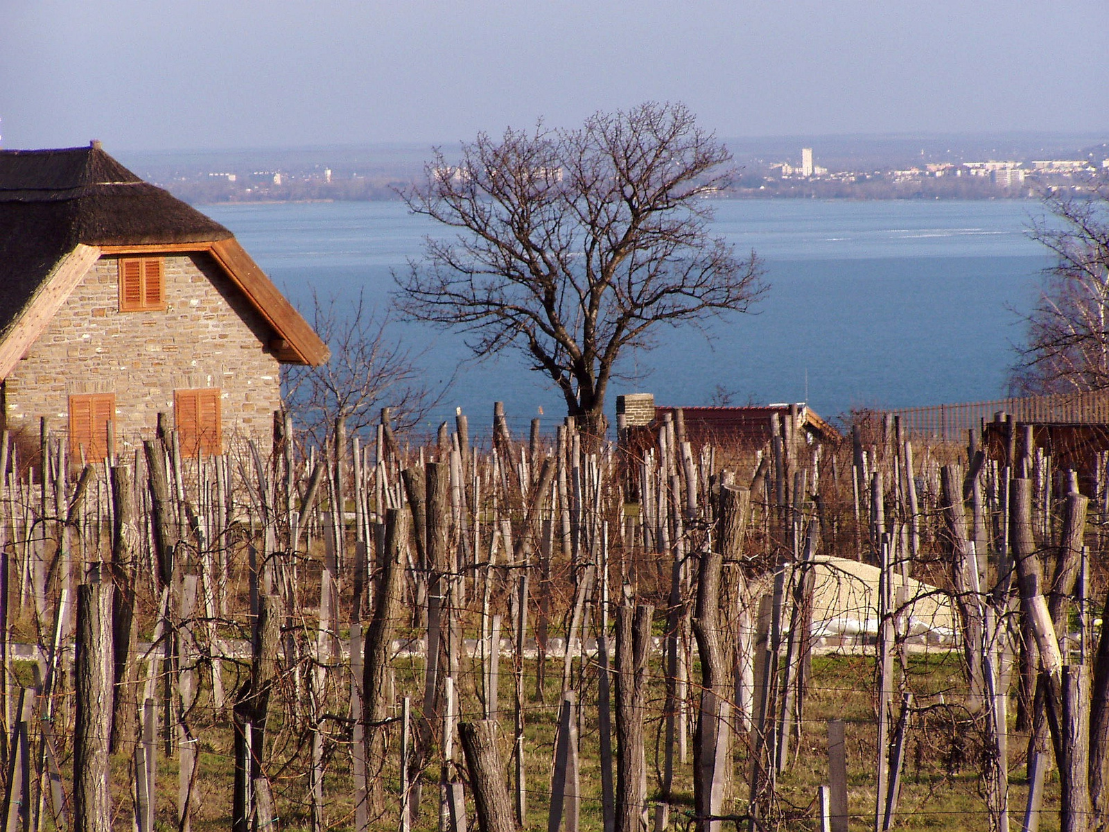 Téli Balaton