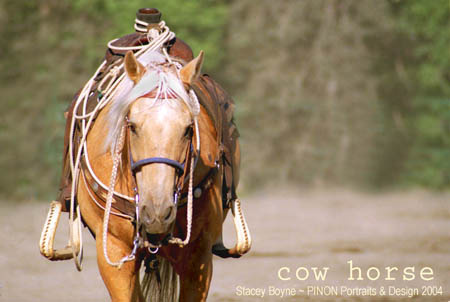 Cow horse