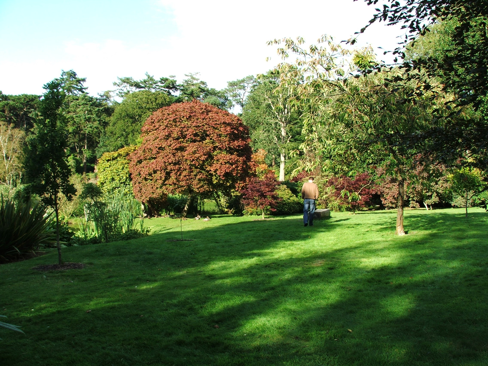 Mount Stewart House And Gardens