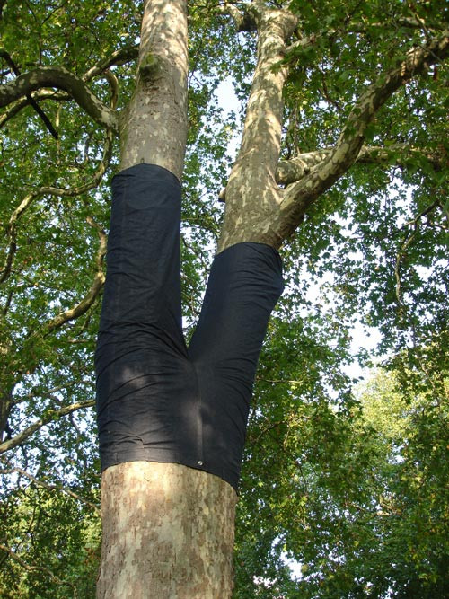 Tree Pants b