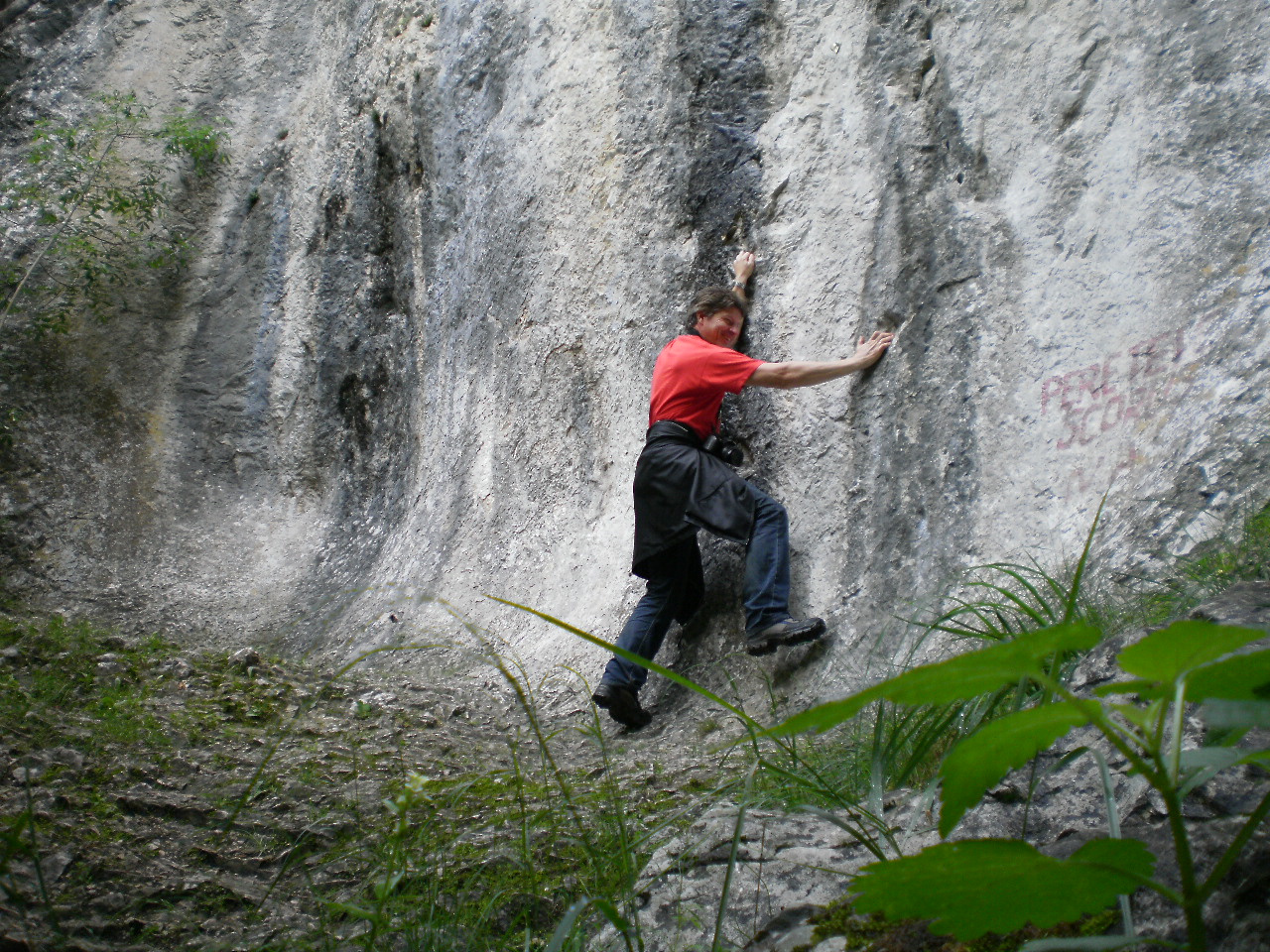 torocko 21005 tordaihasadék robi