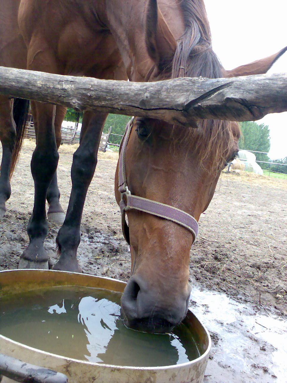 201007 Tábor073