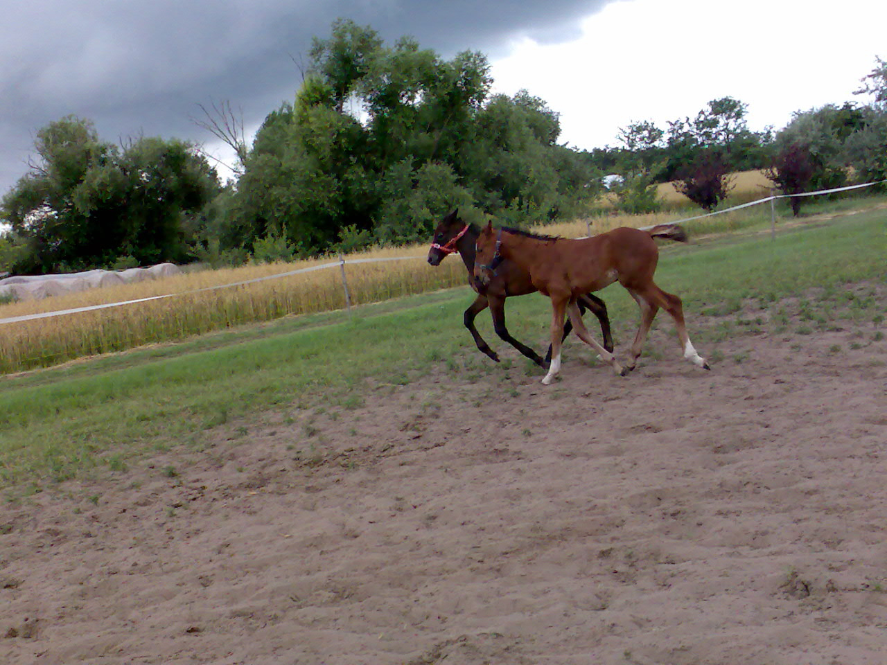 201007 Tábor115