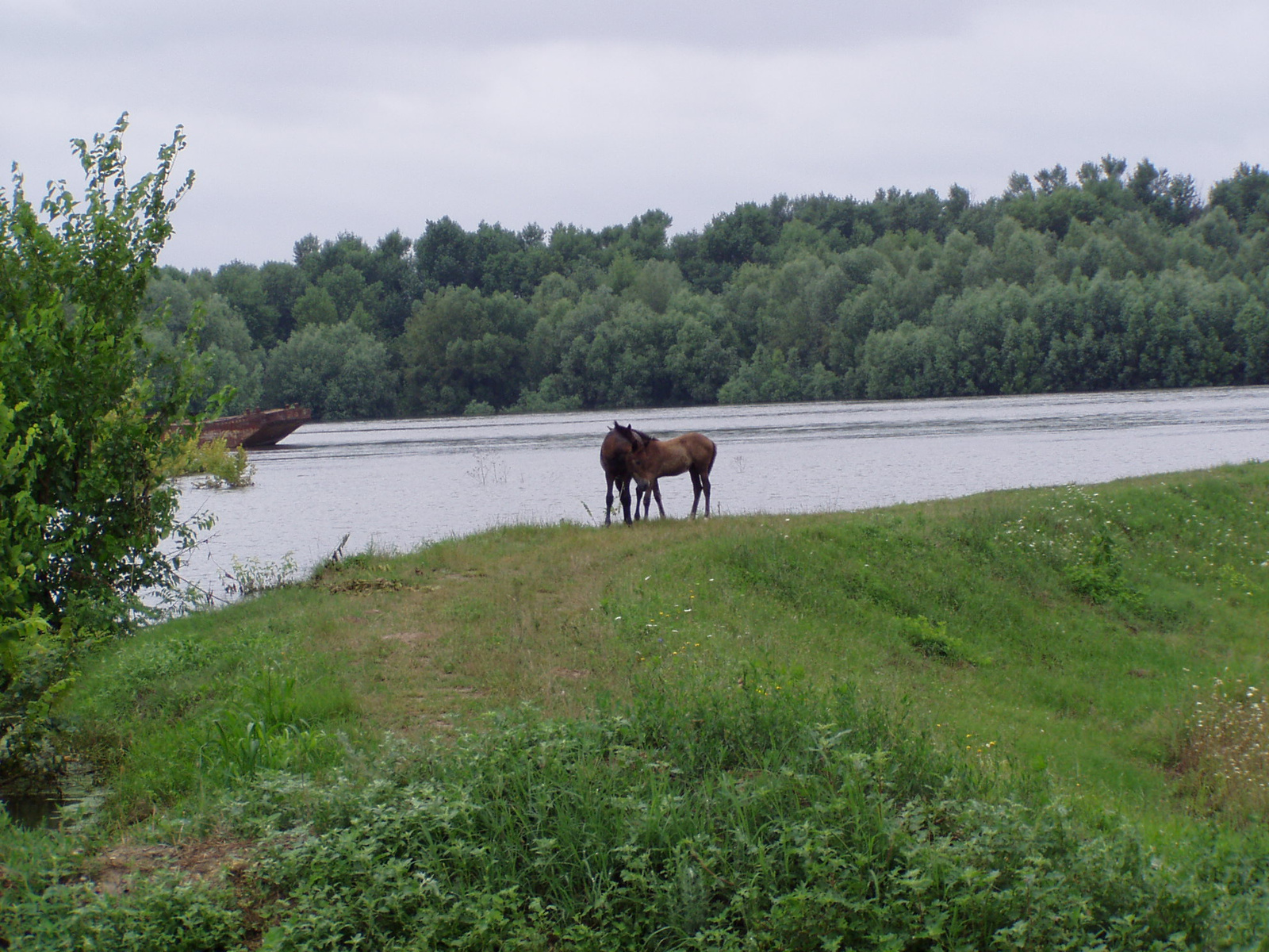 FÉNYKÉPEZŐGÉP 2010 VI HÁRMAS 045