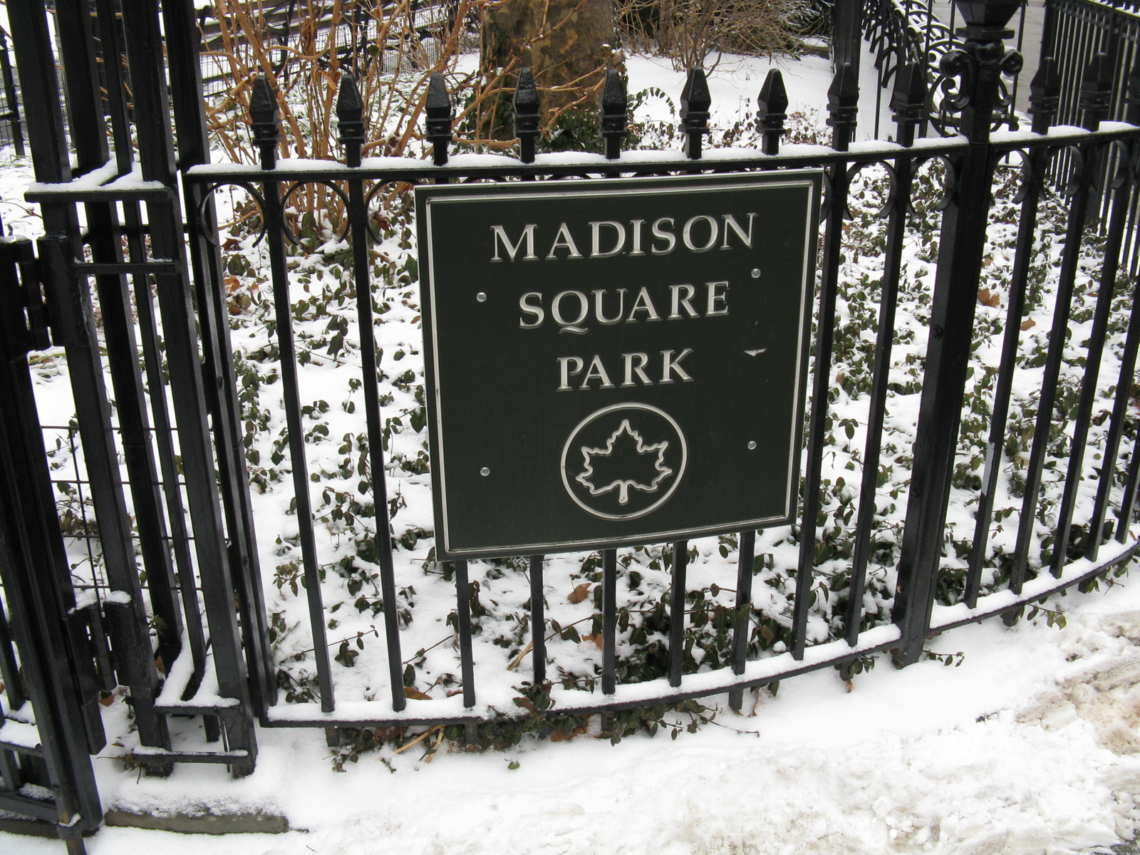 Madison Square GARDEN? LoL