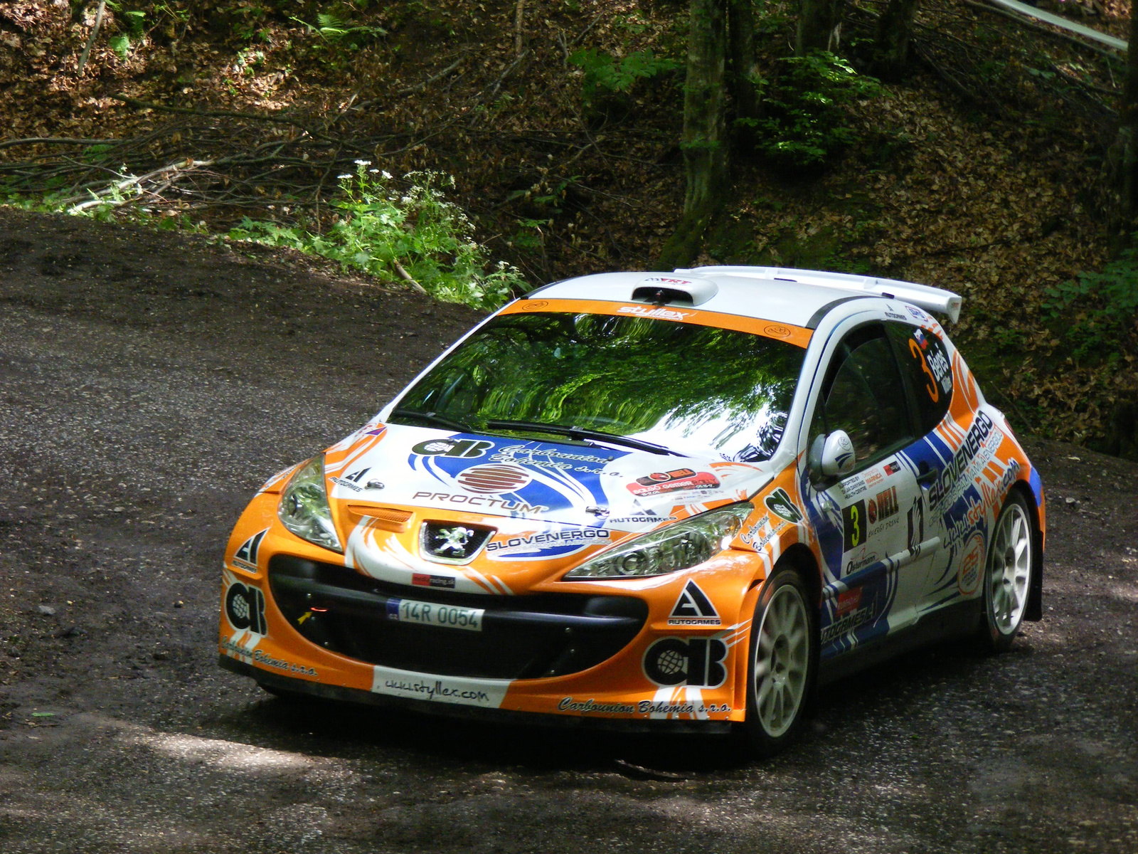 Salgó  Rally 2009 214