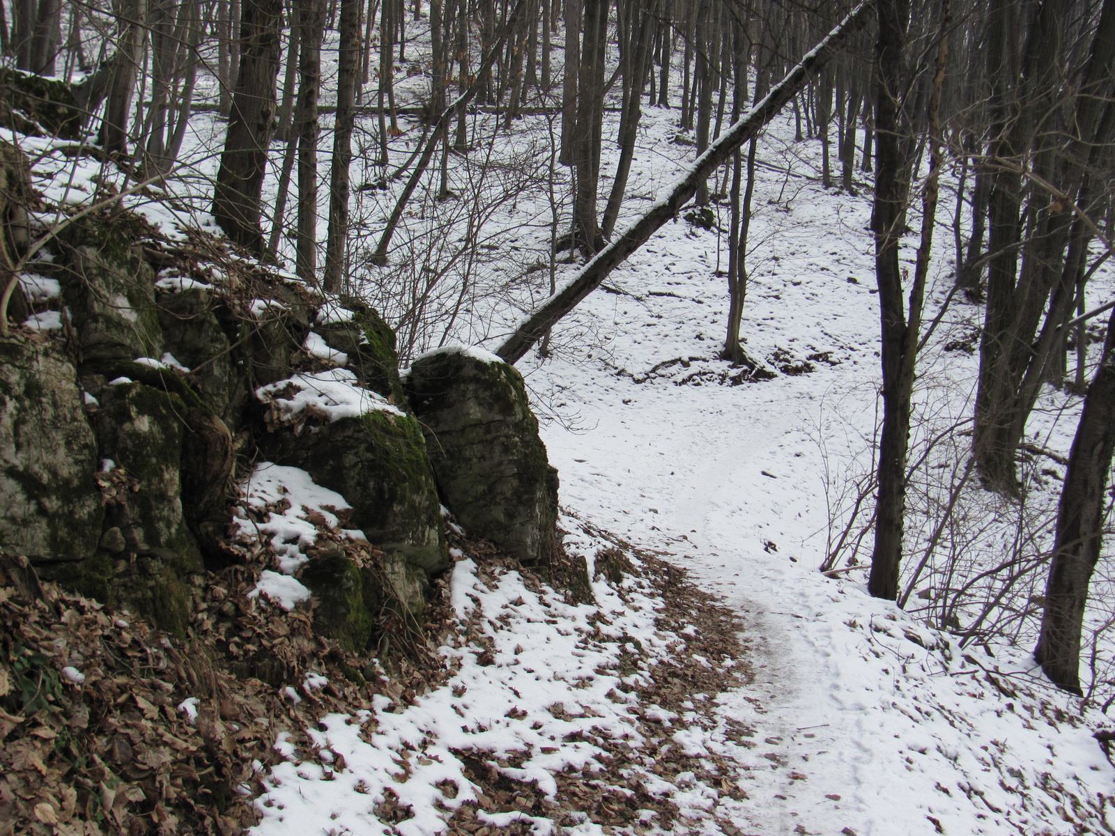 2011.01.30.Orfű-Pécs