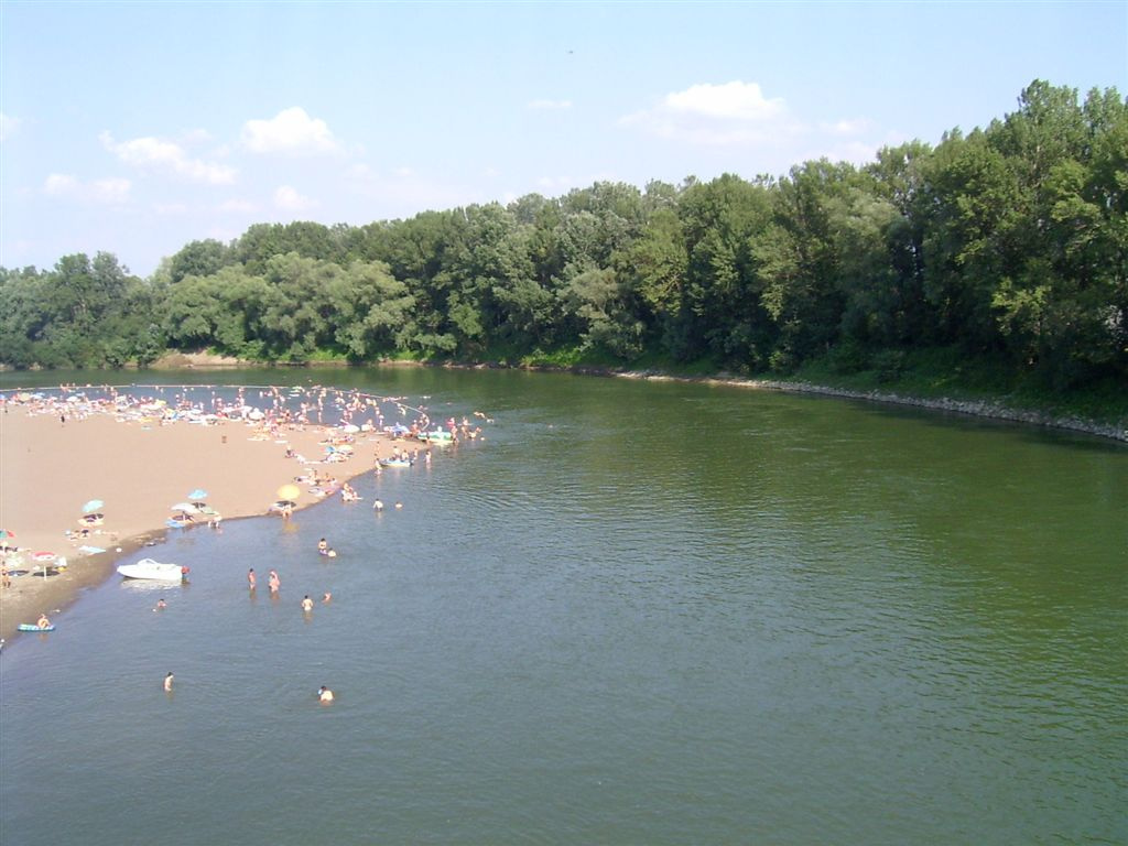 A Tisza Tivadarnál .