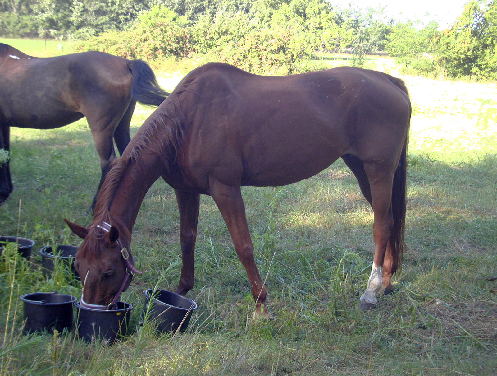 2006-07-Táborfalva 020