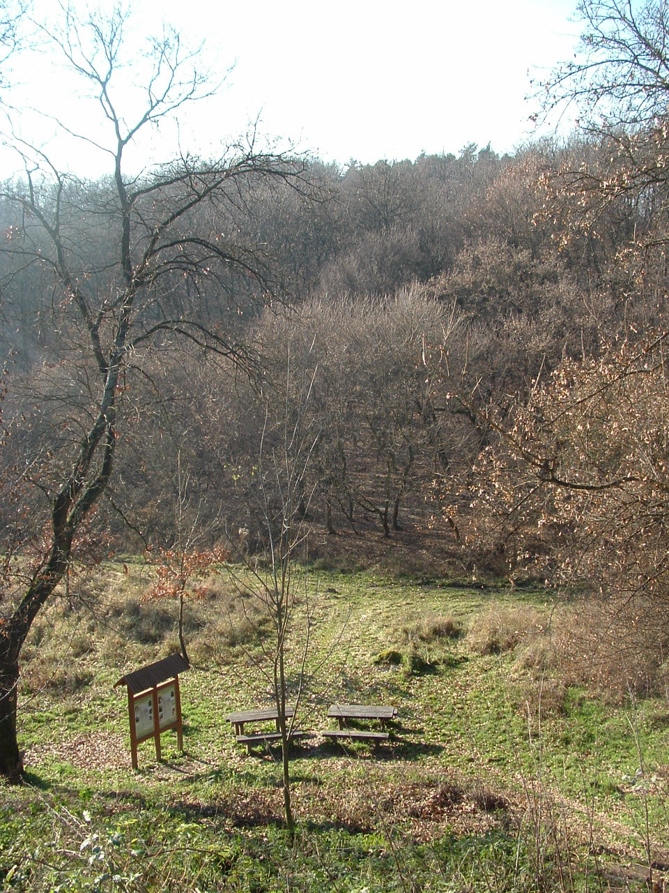 Felsőtárkány 2010 022